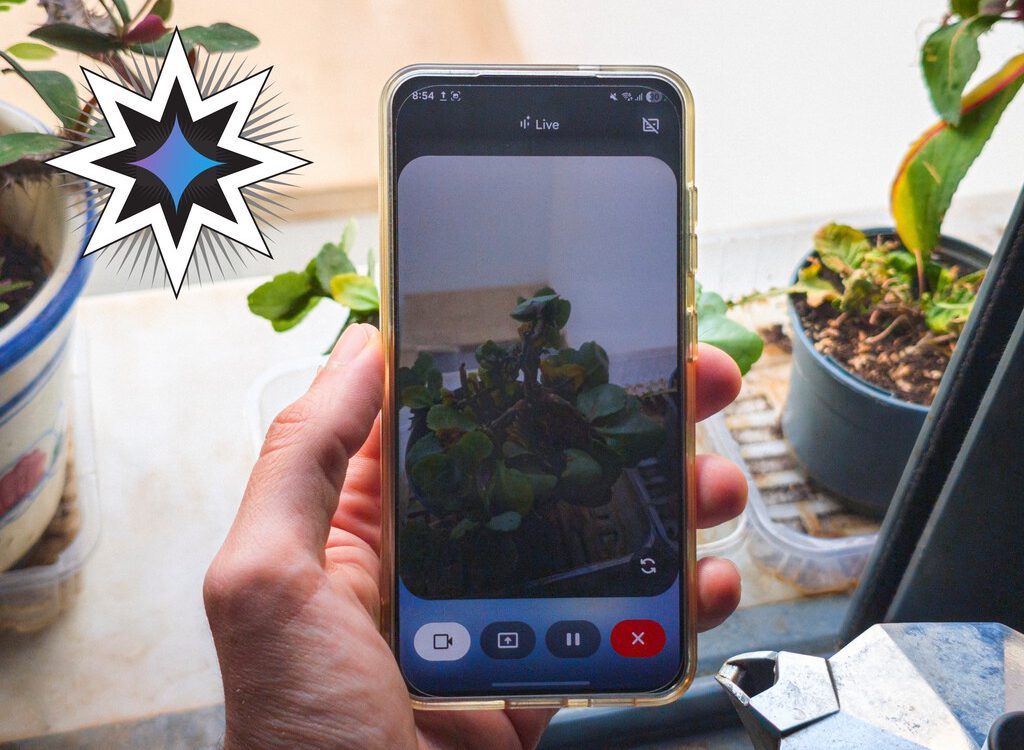 Gemini, aliado inesperado en el cuidado de plantas