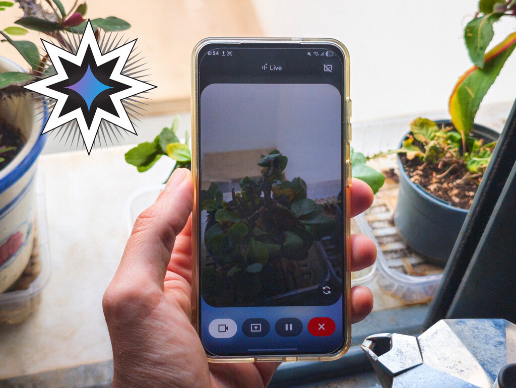 Gemini, aliado inesperado en el cuidado de plantas