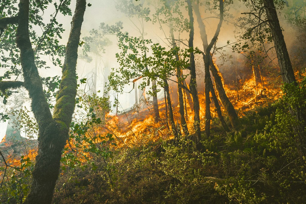 Mapa de la NASA permite seguir incendios en tiempo real