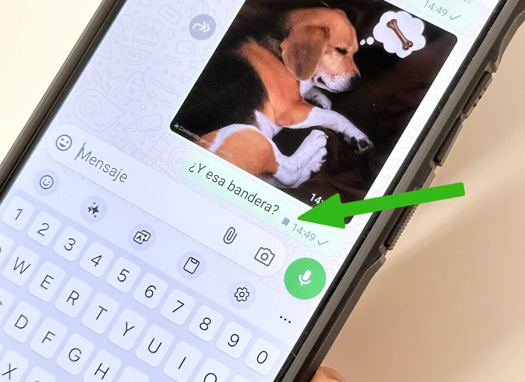 Icono de bandera en WhatsApp: su función en mensajes temporales